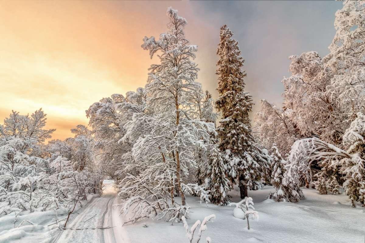 Фото — phgk.ru