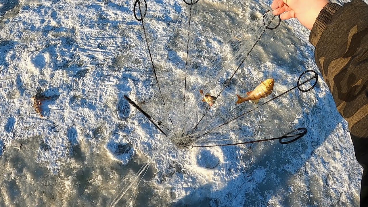 Ловля на хапугу видео. Рыбалка на хапугу Сибирский Странник. Хапуга для рыбалки зимой. Хапуга для ловли рыбы. Ловля на хапугу зимой.