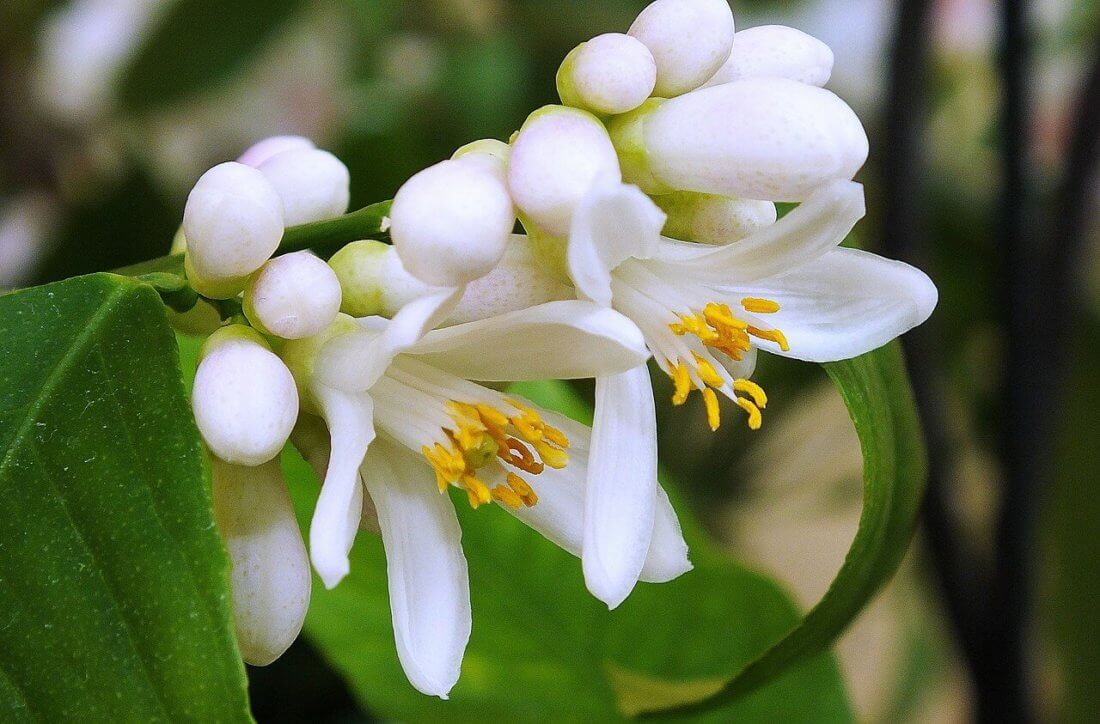 взято из инета для иллюстрации