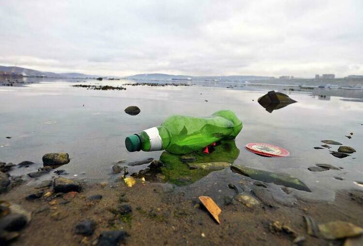 Фото: Лев Федосеев