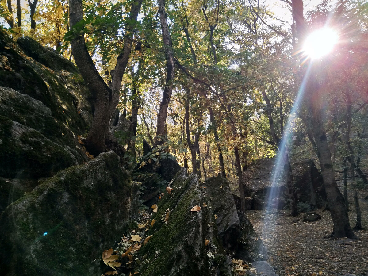 На большом терренкуре, который около 8000 метров длиной, селитряные скалы, там справа вверху будет пещера первобытного человека... Фото Солей.