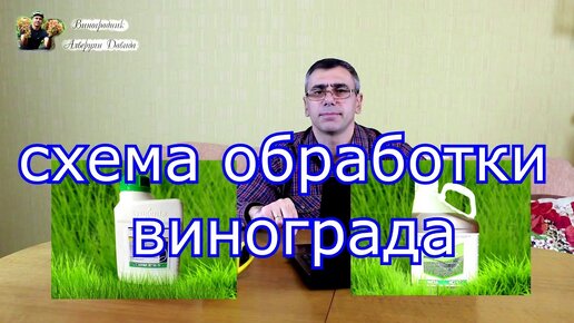 Схема обработки винограда