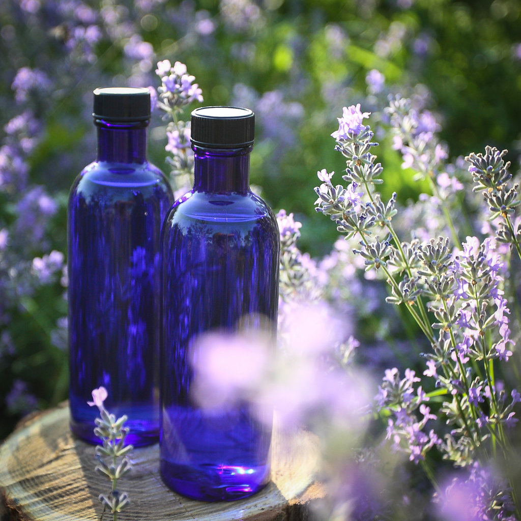 (Источник картинки - https://clck.ru/dnbNH)