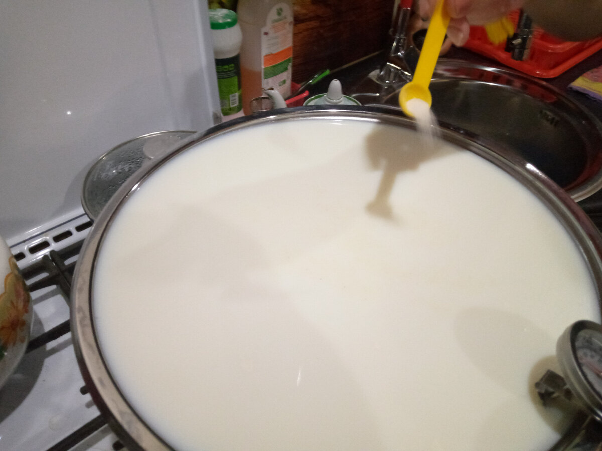 Моцарелла из молока в домашних условиях