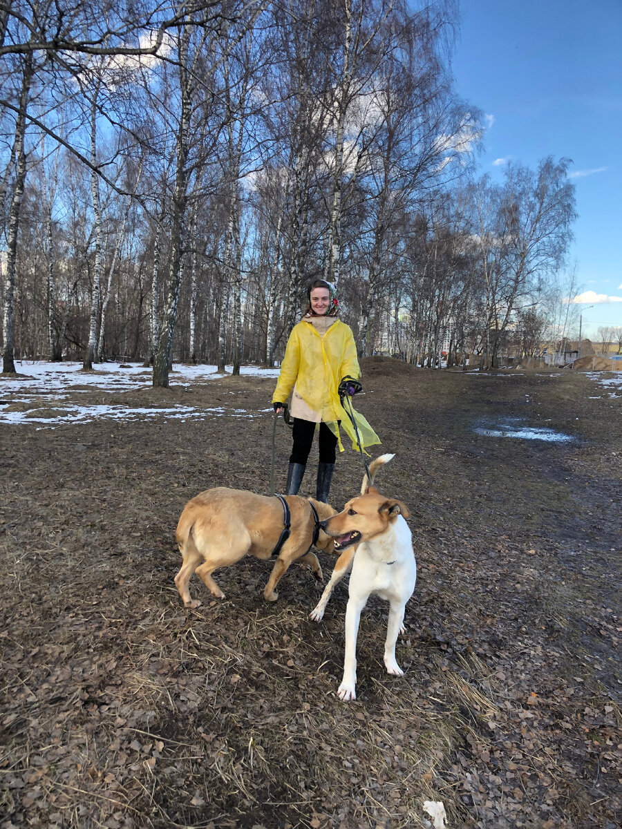 Вика с Ровером и Одри