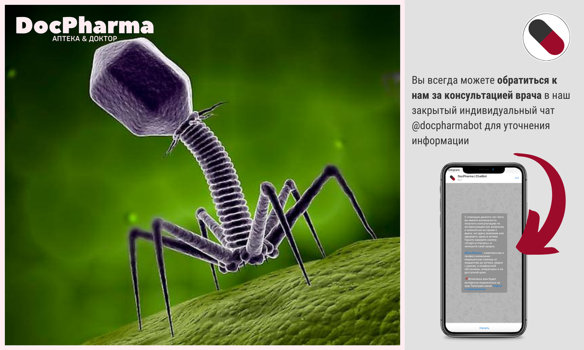 Изображение бактериофага