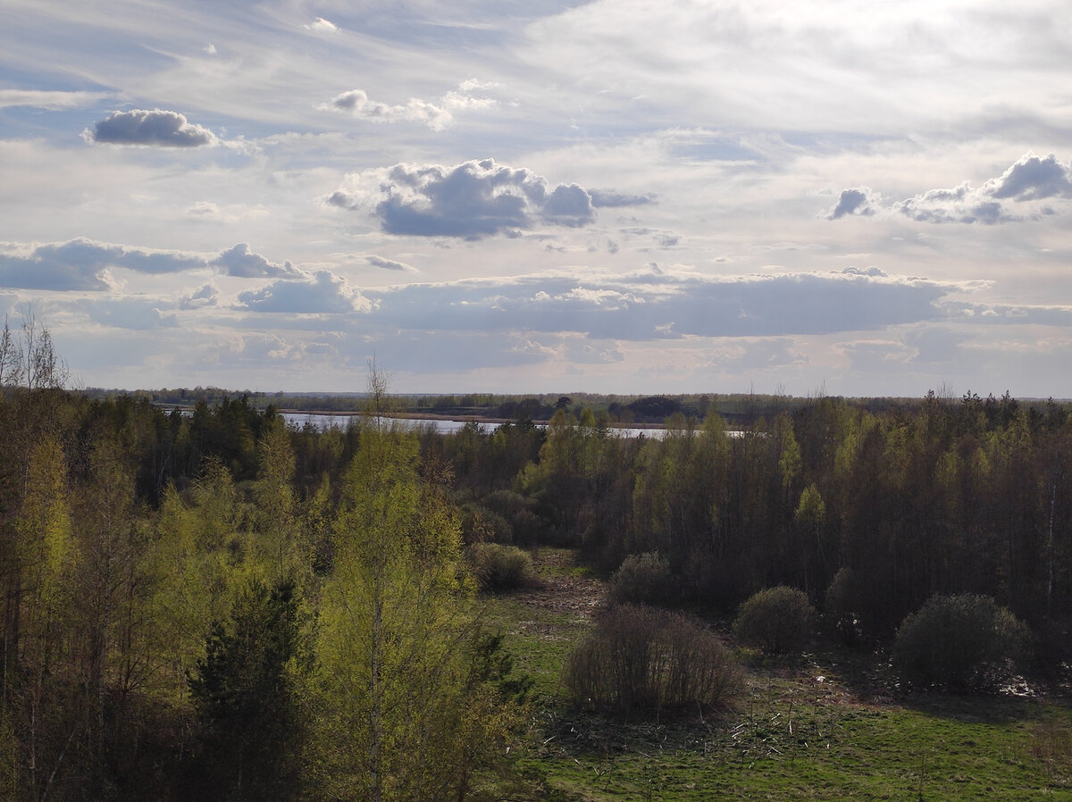 Городище Велье – древнее славянское поселение | Походы, путешествия,  прогулки | Дзен