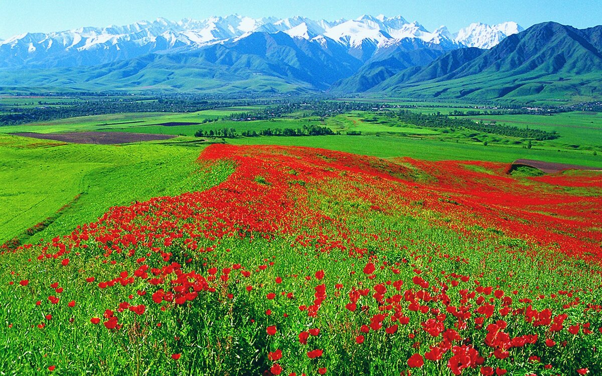киргизия в мае