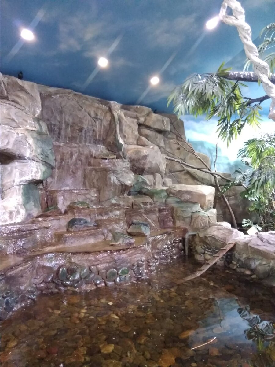 Фото из оранжереи Новосибирского зоопарка, где прямо над головой прыгают крошечные обезьянки, купаются в пруду уточки и ползают по камням разные змеи 