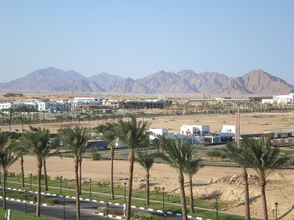 Саммит в Шарм Эль Шейхе. South Sinai Camel Festival в Шарм-Эль-Шейхе.