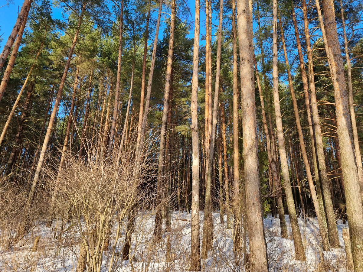 Красива и одновременно опасна малая Родина