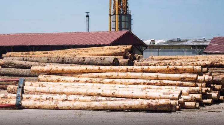    t.me/Rosleshoz_official