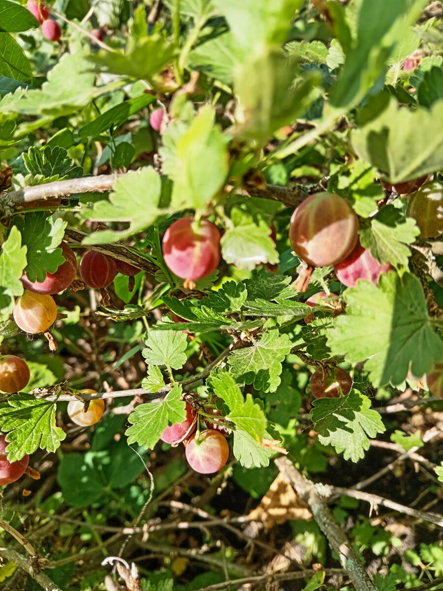 Все в природе совершенно