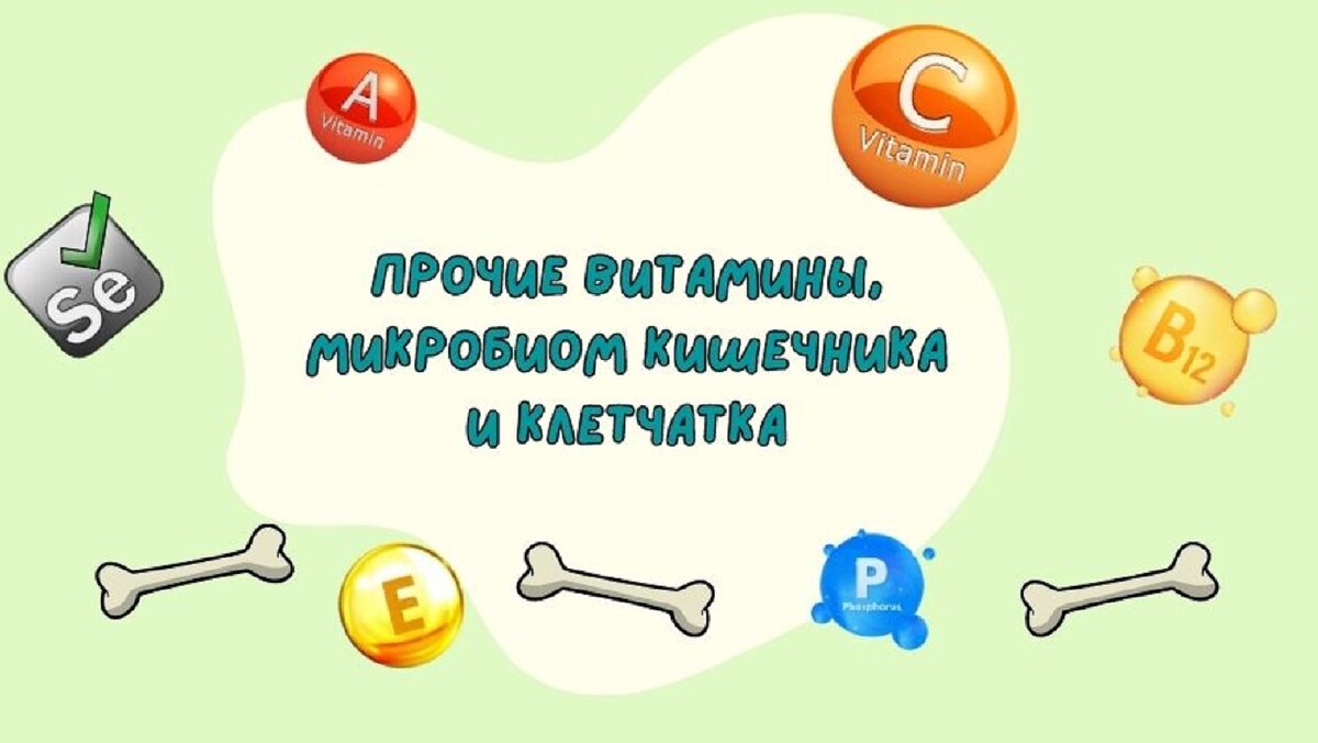 Прочие витамины, микробиом кишечника и клетчатка