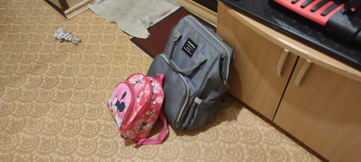 Один рюкзак Анин, а второй мой с документами