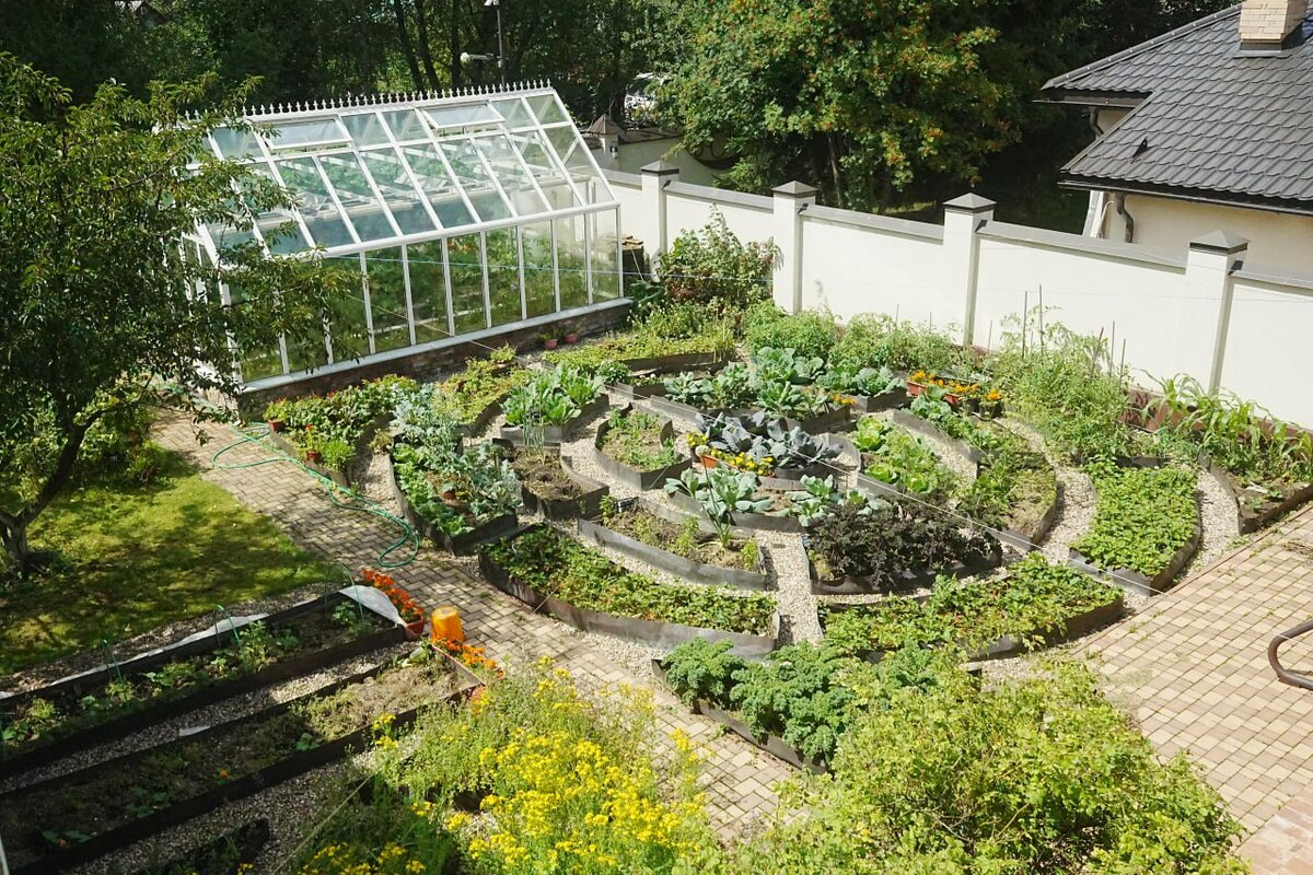 Дачный агроном 