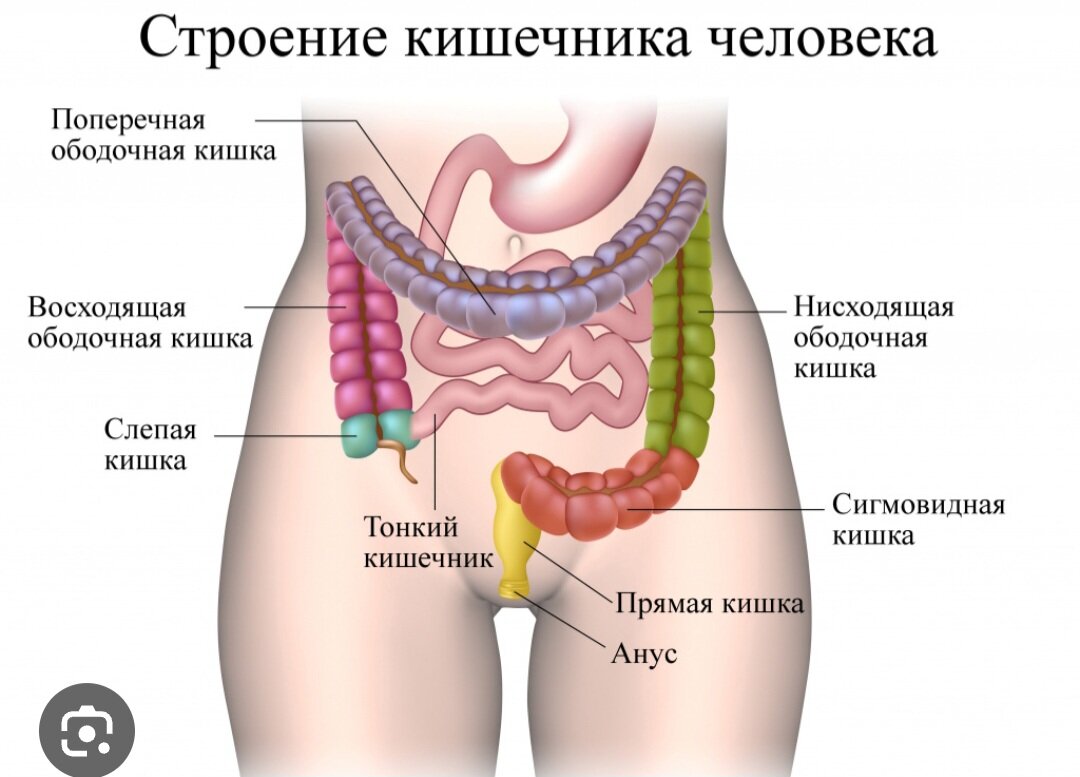 Фото взято из открытых источников 
