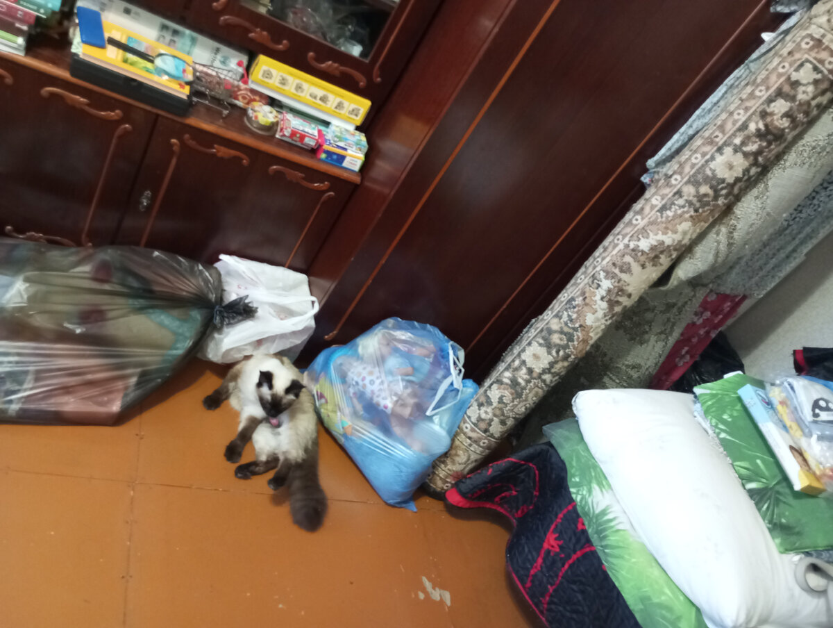 Фото автора. Пушинка уже без бандажика. 