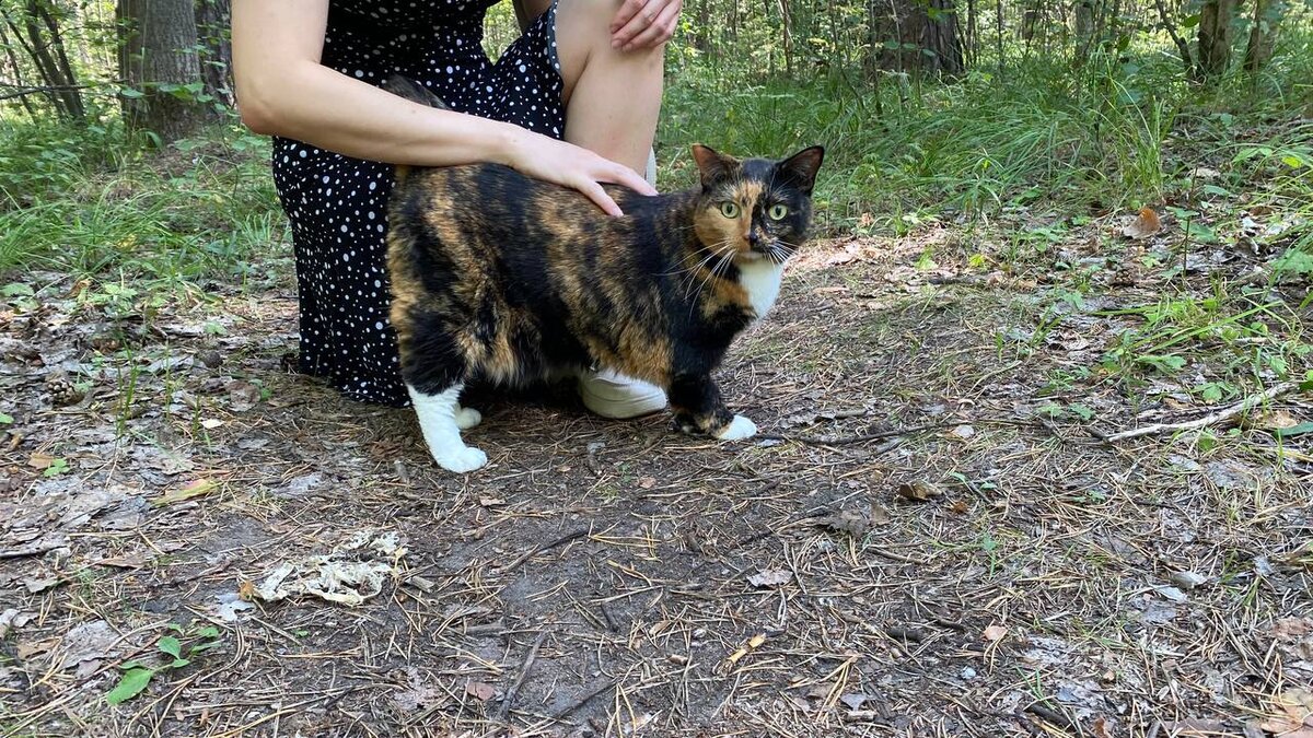 У Астры очень хорошее самочувствие для её анализов. Или она просто делает вид, чтобы не расстраивать куратора.