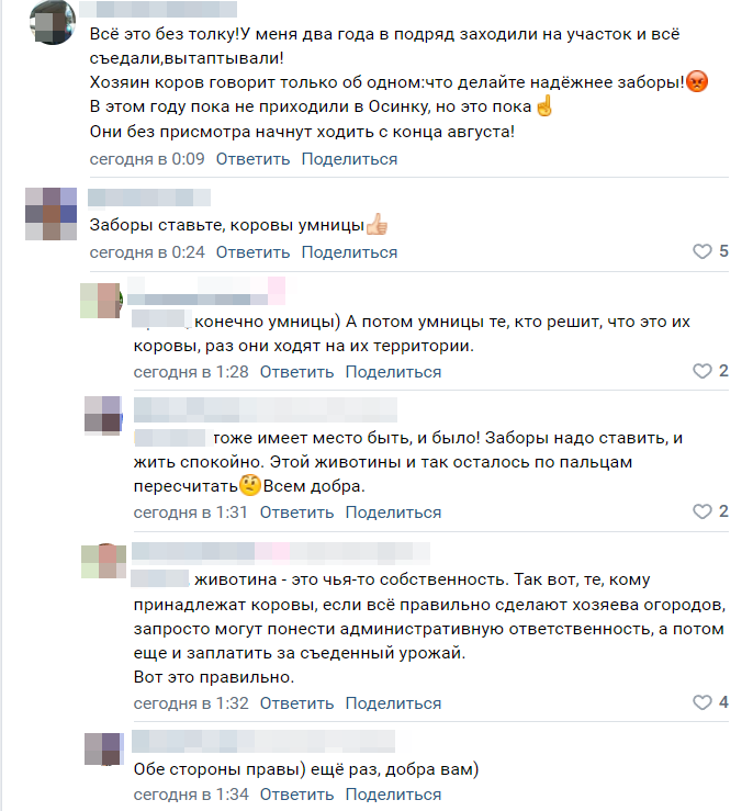    Коровы на свободном выгуле зашли в чужой огород в Карелииpxhere.com