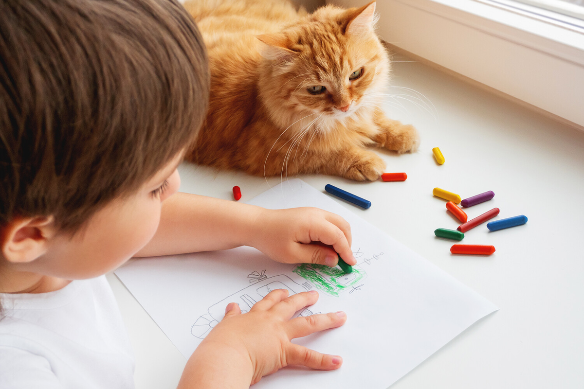 Фото: Shutterstock