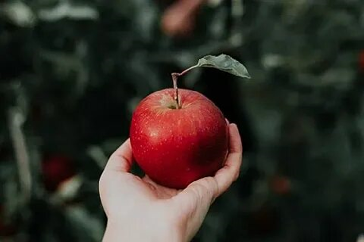 Молодильное яблочко
