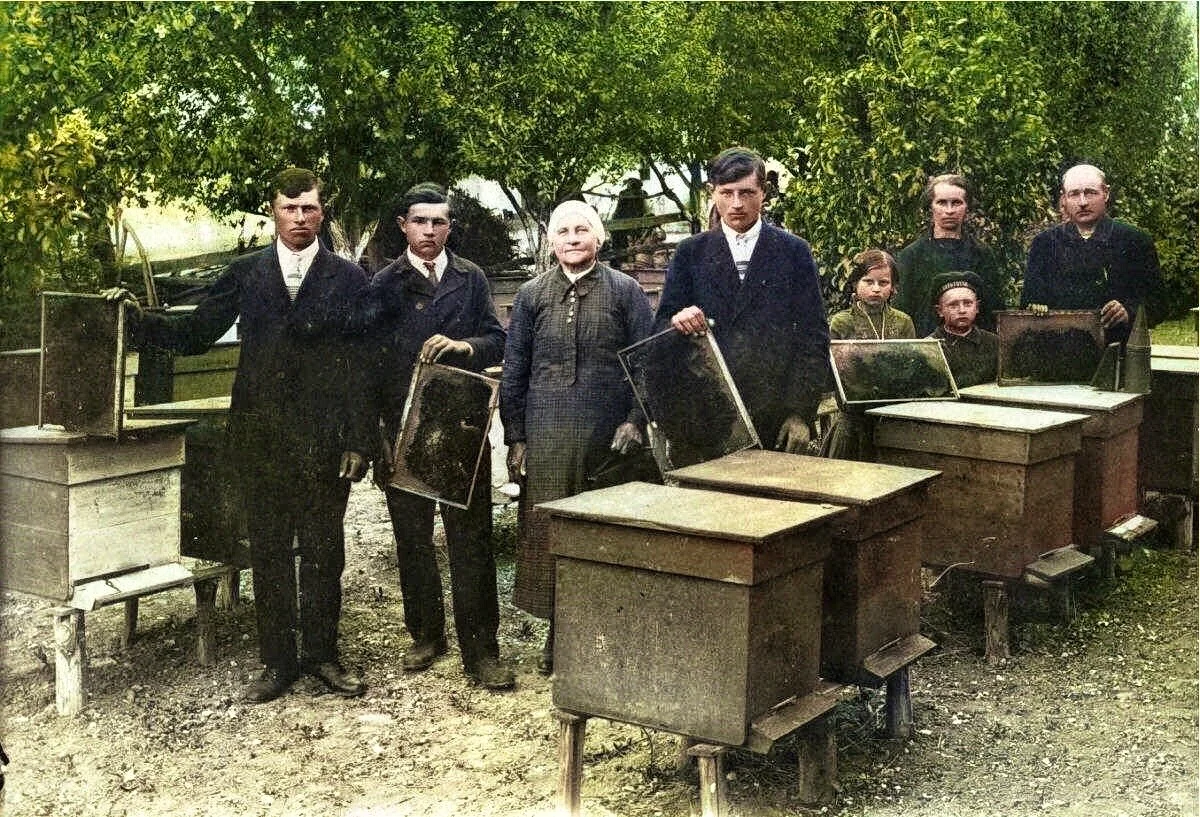 Крестьяне Цюрихсталя 