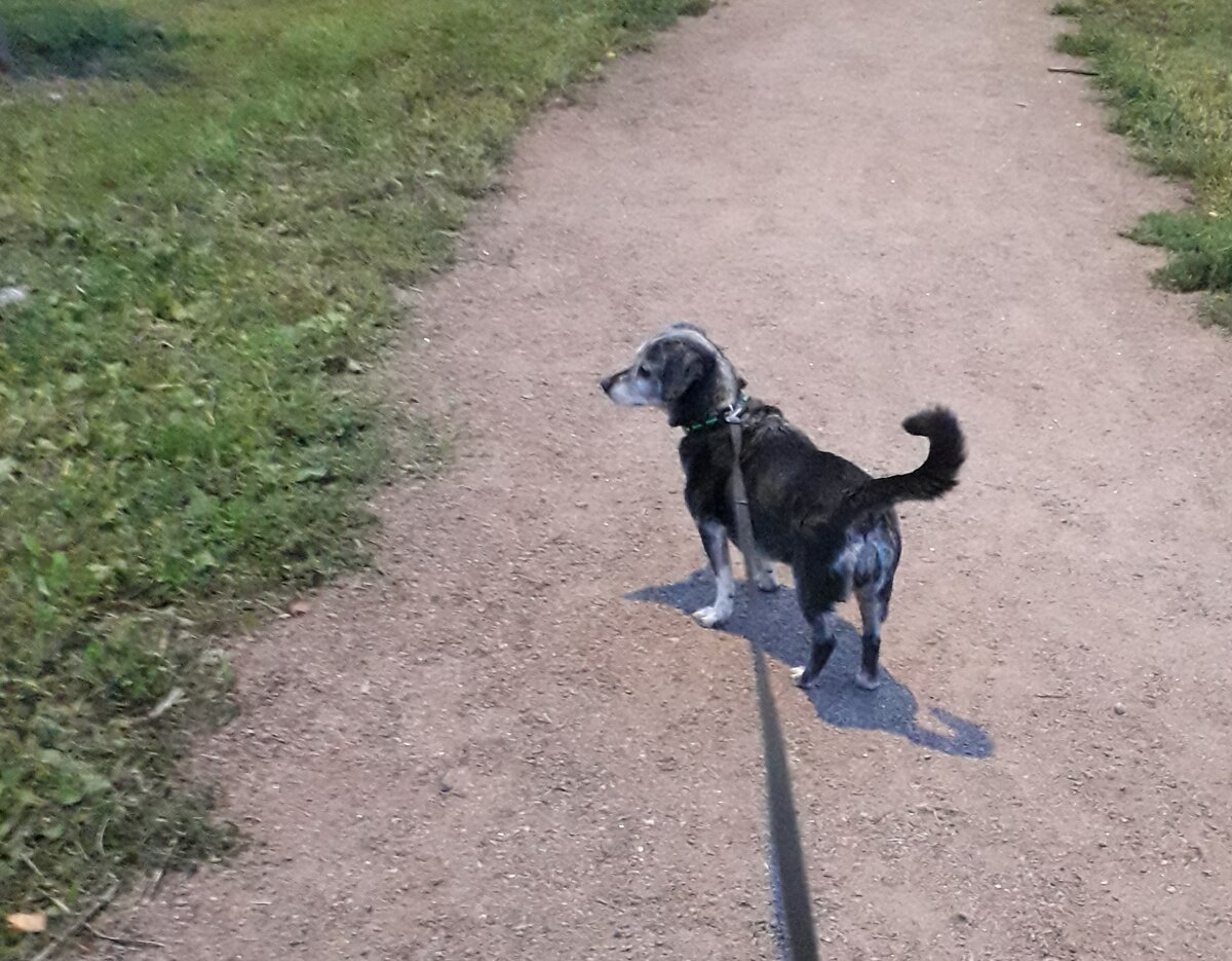 На прогулке