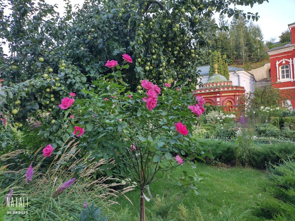 Псково-Печерский монастырь