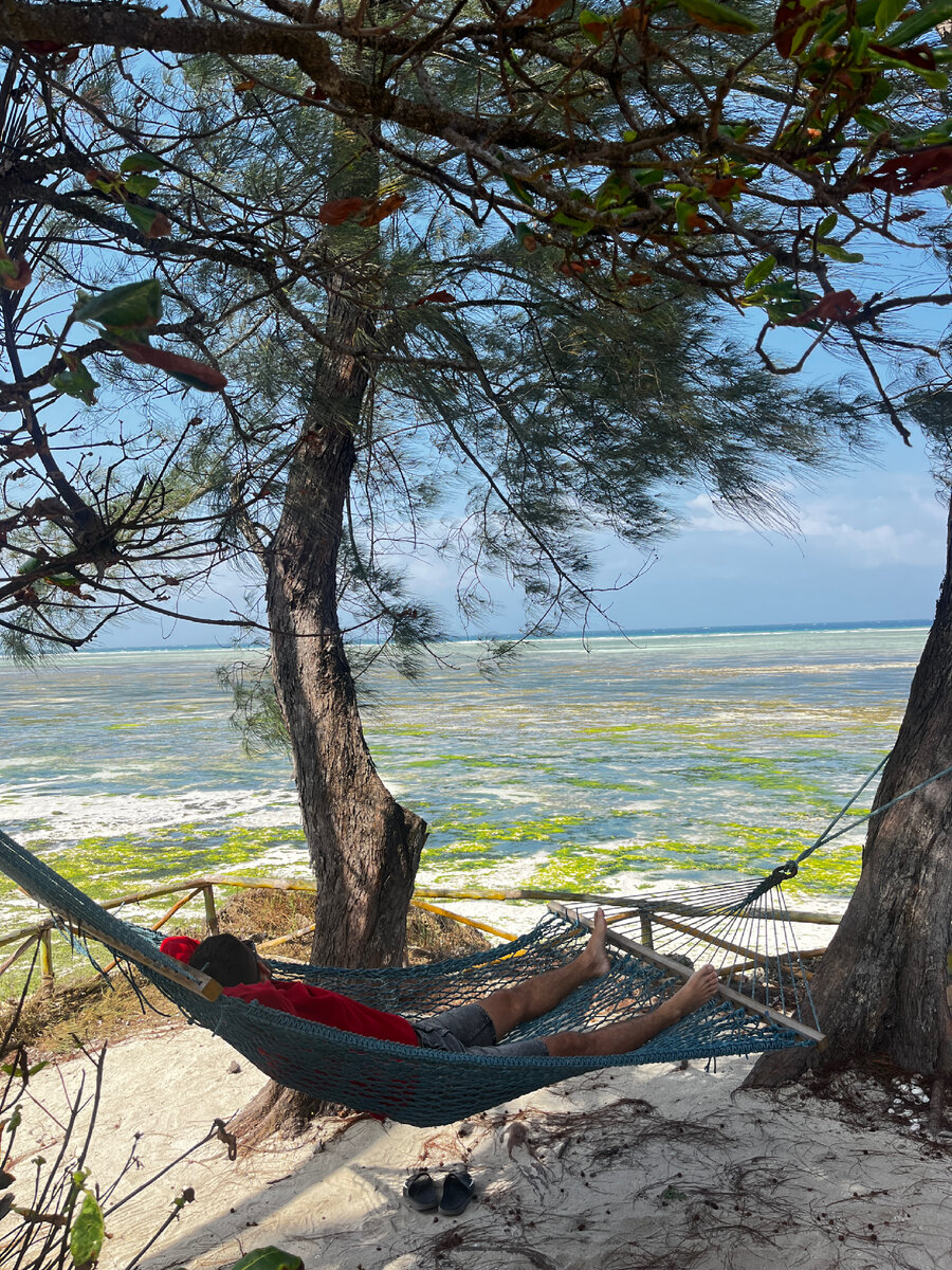Дневной сон в гамаке под шум океана