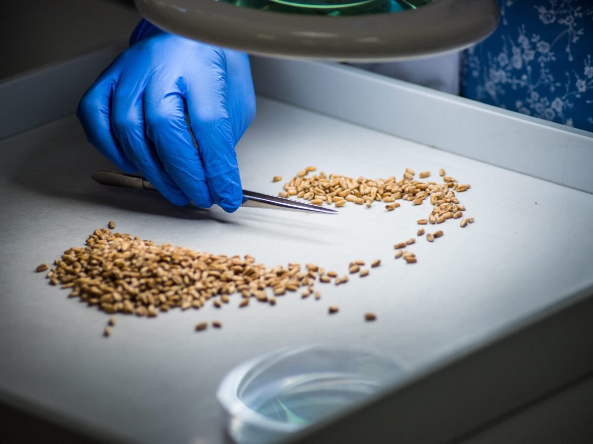 У сорняков нет никаких шансов! 