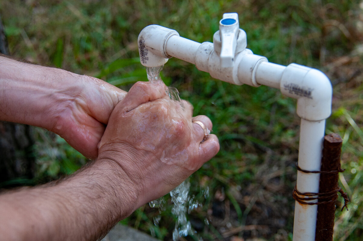 Фото: Svetlana Vozmilova/Global Look Press 