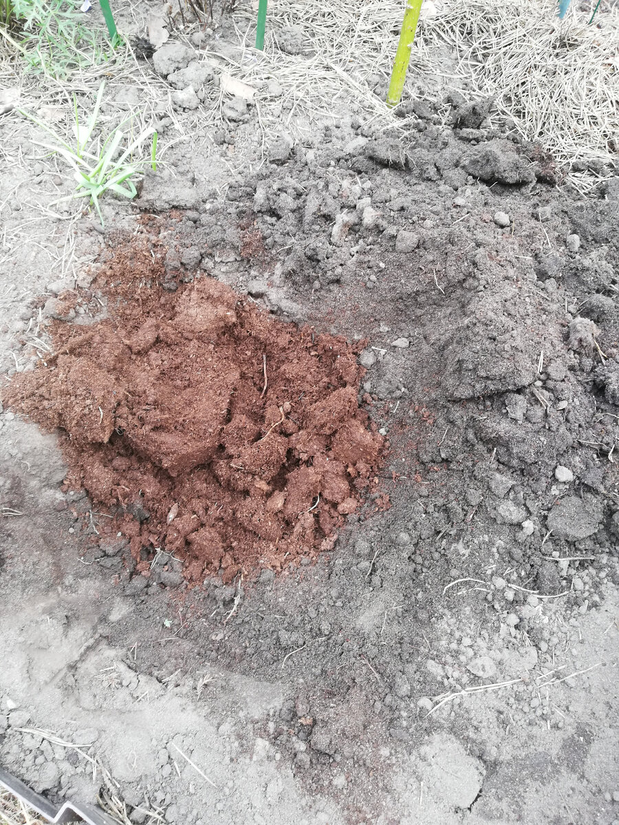 Торфа ровно одна лопата, думаю, что в пропорциях размер ямы примерно понятен