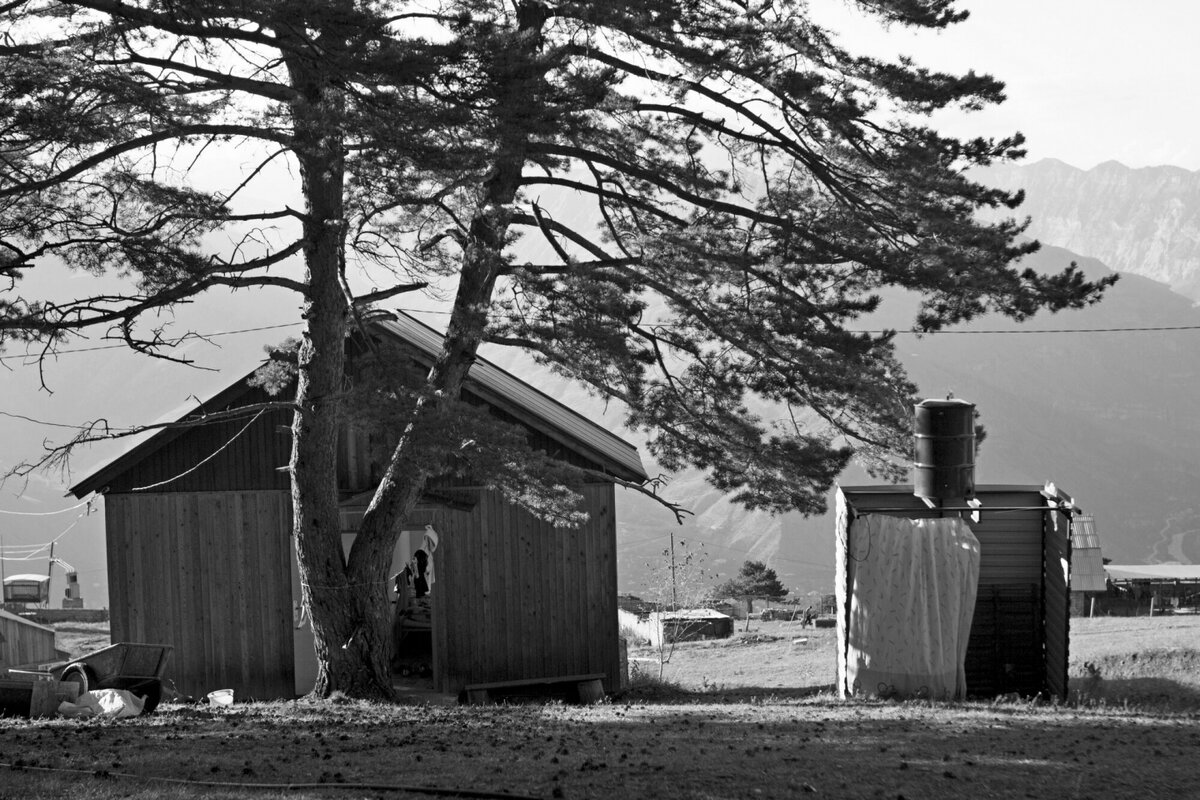 Фото: Тальяна Бриг