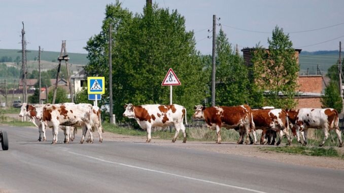 Переход.