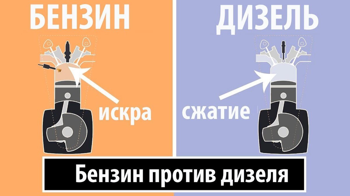 Фото из открытых источников.