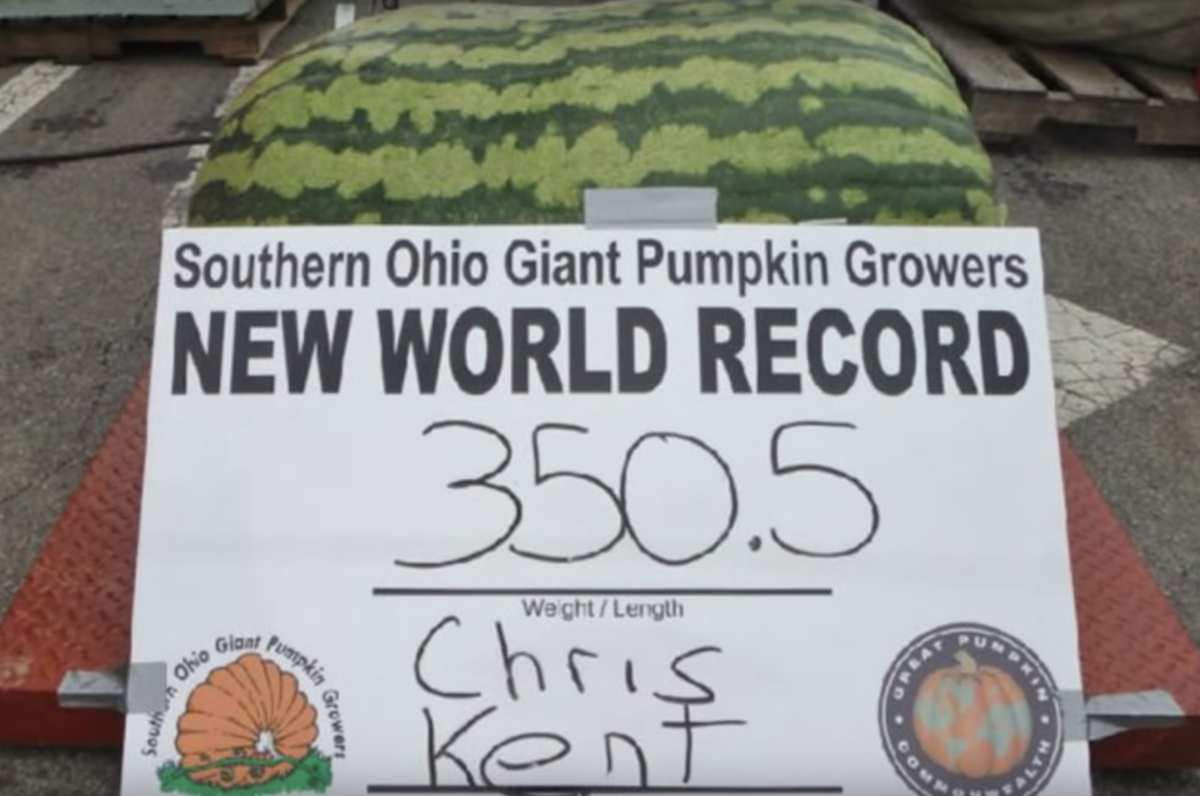 гигантский Арбуз