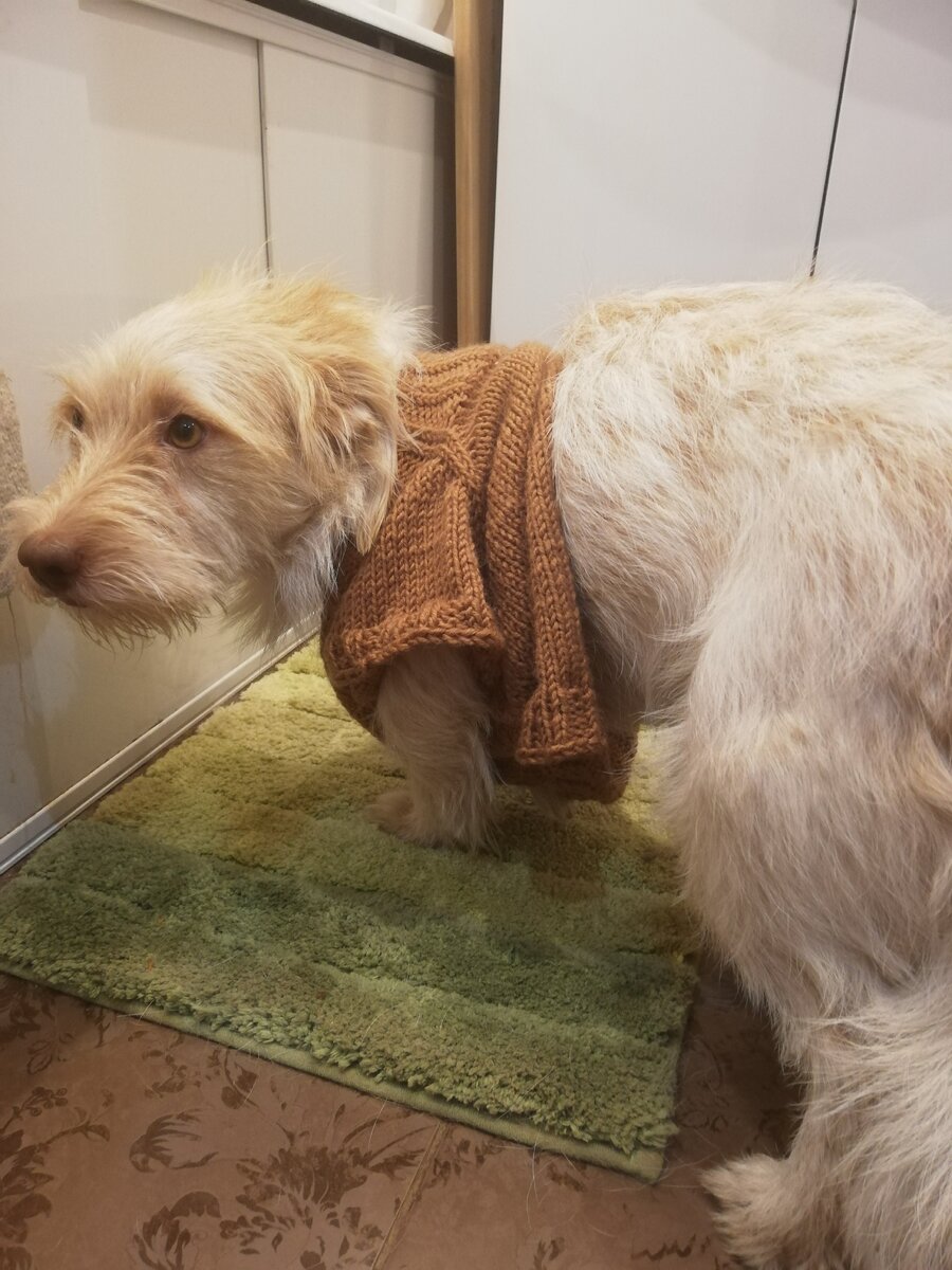 сама носи такоееее... 