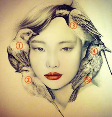 Какая из птиц привлекает ваше внимание