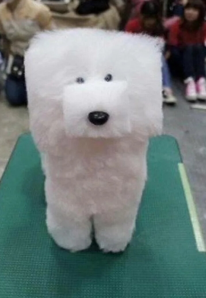 Он вообще настоящий?