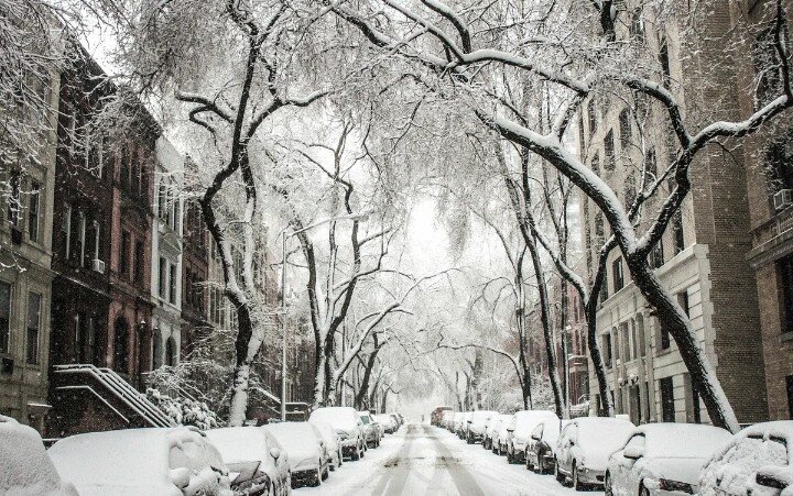 Взято с фотостока