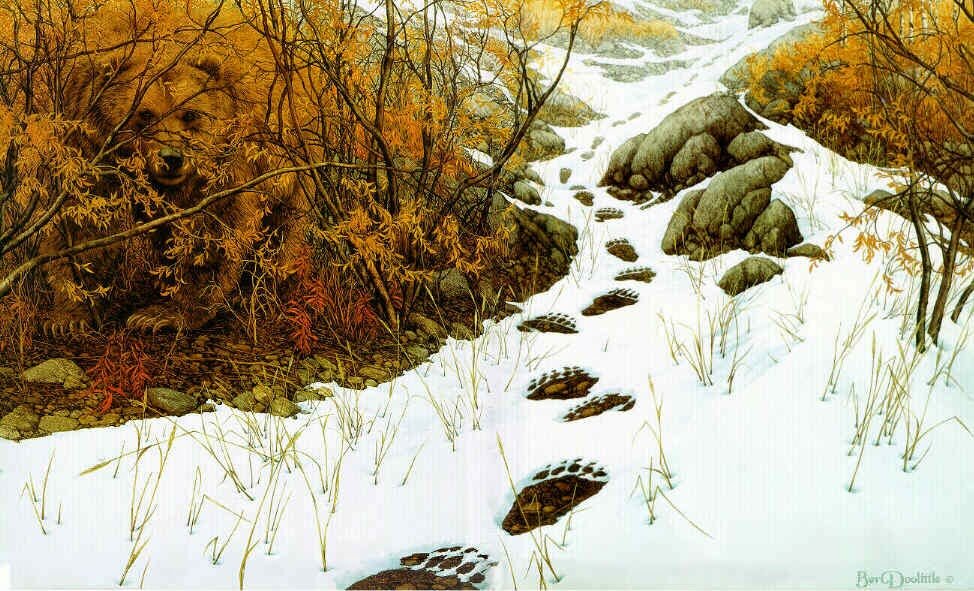 найди медведя