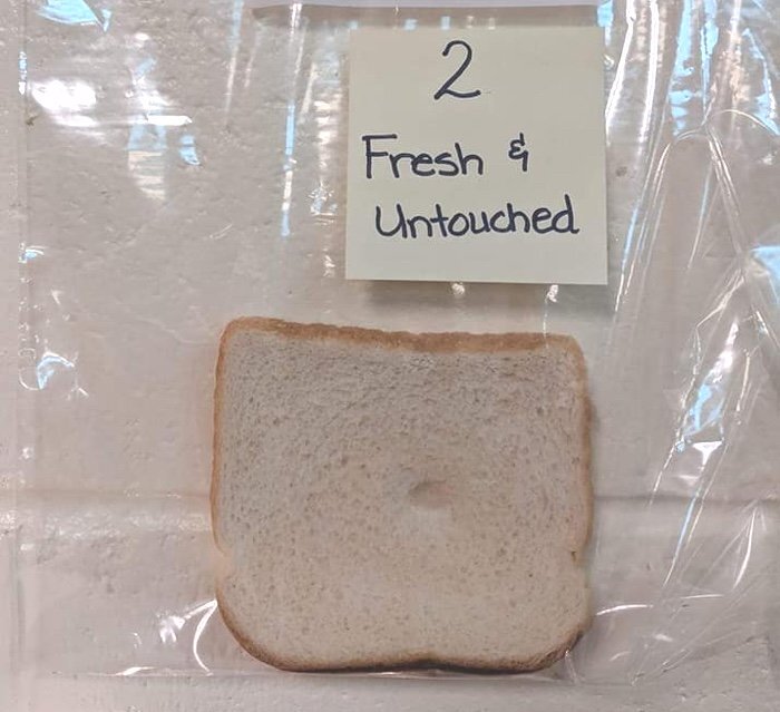 Контрольный образец, не тронутый.