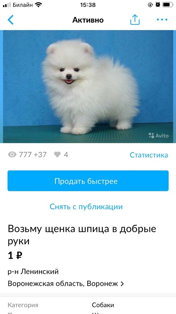 Мое безобидное объявление на авито 