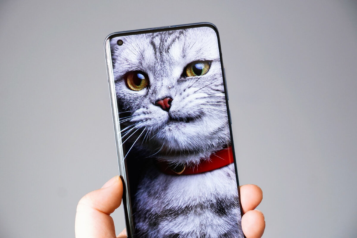 Xiaomi Mi 10 Pro | Фотография предоставлена HFV Unbox