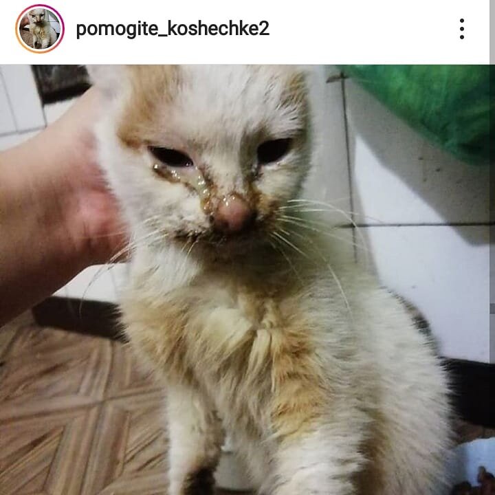 Скриншот с канала в Инстаграме. Название канала на скриншоте 