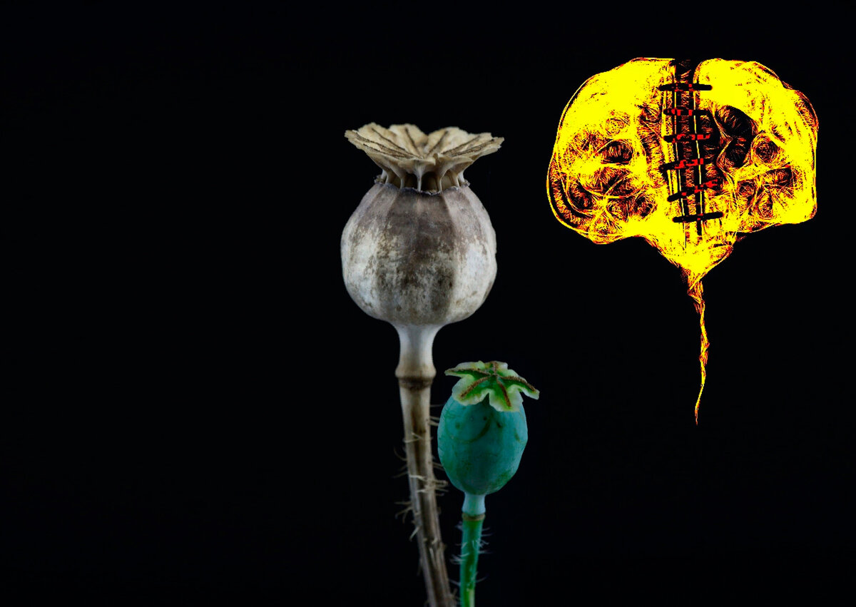 "RELIGIONARES OPIUM", Triocci Monte Grafino 