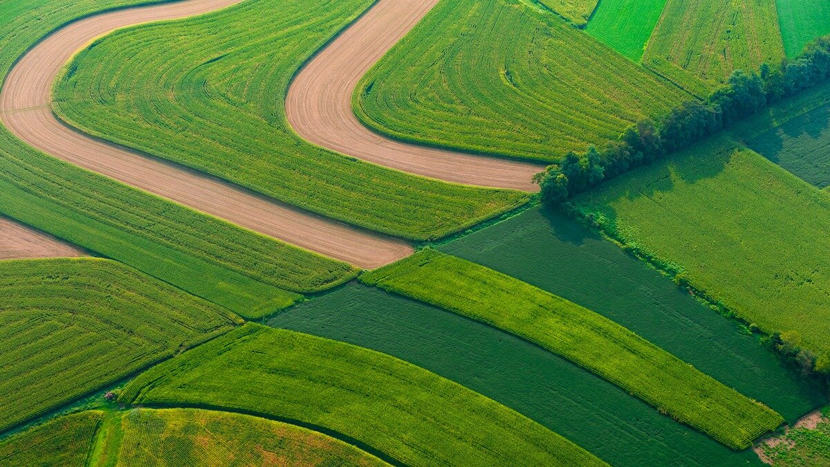 Фотография носит иллюстративный характер. Фото: atopshot.com