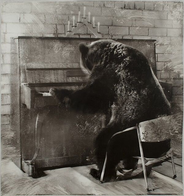 Фото взято из открытого источника yandex.ru 