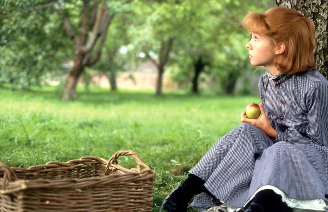 Фото: Яндекс картинки. Листайте карусель